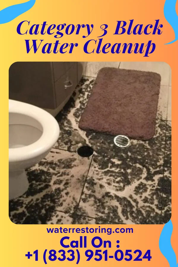 Category 3 Black Water Cleanup in Kamrar, IA